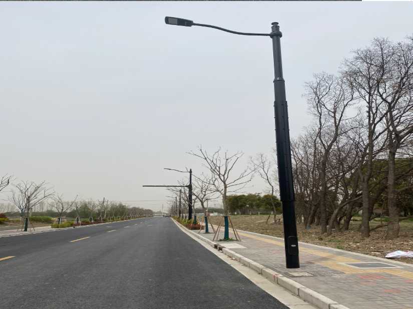 延川县上海综合杆 太阳能路灯工程